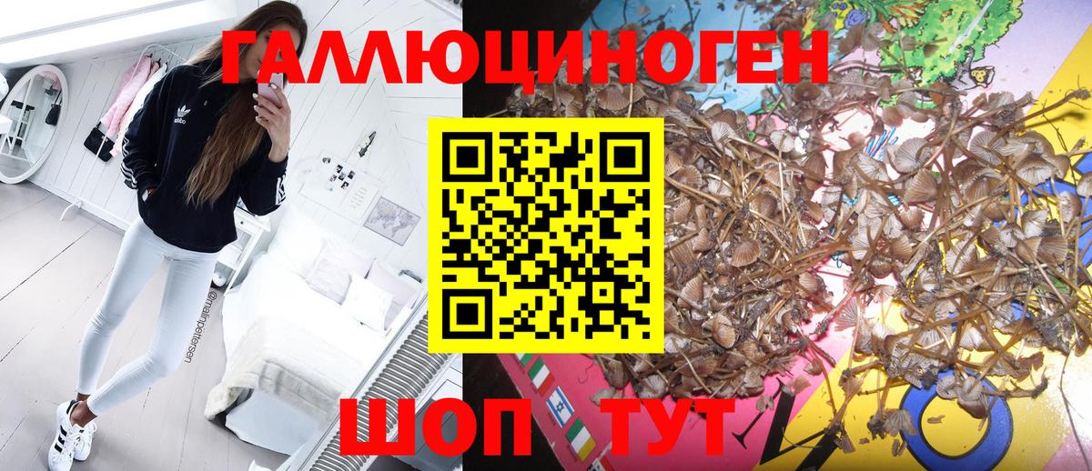 Псилоцибиновые грибы ЛСД  Вход с VPN  Тимашёвск 